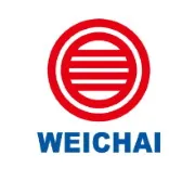 612630110070 Уплотнительное кольцо, силикон Weichai