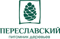 Саженцы Березы крупномер