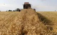 оптовая продажа рожь 1,2,4 класса